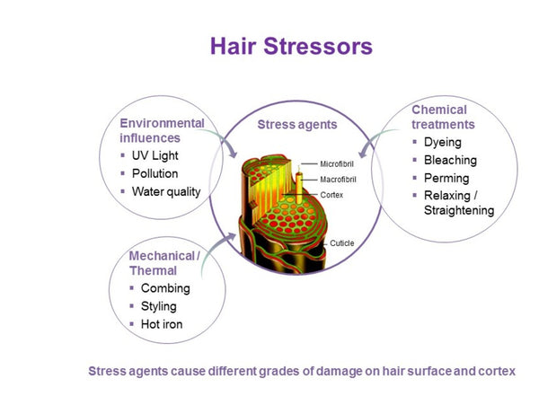 What are the most common causes of hair loss due to hair breakage?