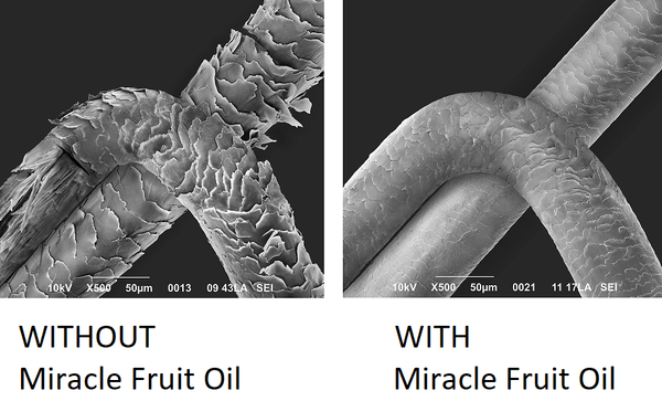 Miracle Fruit Seed Oil : The ONLY Proven Natural-Holistic-Medical Dual Defense Protecting and Repairing Hair Inside and Out